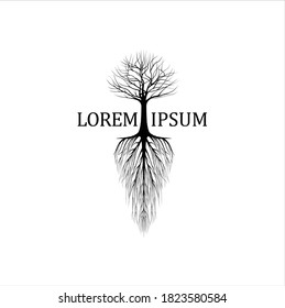 Abstract Dry Dead Oak Maple Banyan Cedar Tree Silhouette Illustration Logo Design