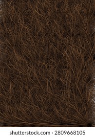 Abstract Dry Grass Texture with Single Emerging Green Shoots on Black