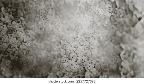 Abstract dust background black and white. eps10