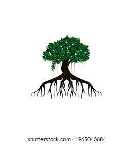 Abstract dynamic tree logo design, root vector