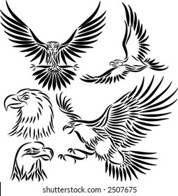 Flying Bald Eagle Illustration Stock Illustration 381331948