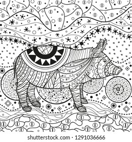 Abstract eastern pattern. Ornate square wallpaper with pig. Hand drawn waved ornaments on white. Intricate patterns on isolated background. Design for spiritual relaxation for adults. Line art