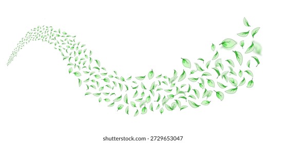 Fundo ecológico abstrato com folhas verdes voadoras formando uma forma de onda fluente. Conceito de natureza, frescura, ecologia, sustentabilidade e energia limpa. Ilustração botânica minimalista no fundo branco