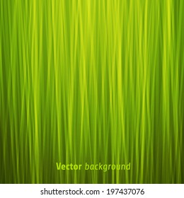 Abstract eco fibers vector background.
