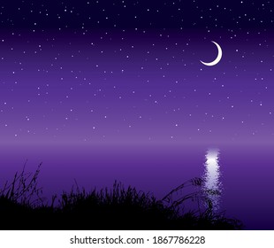 Abstract eco scenic hill view purple starry pond text space backdrop. Hand draw old dry spring season swamp marsh floral cane shrub. Flower stem grove grow border symbol design scene art cartoon style
