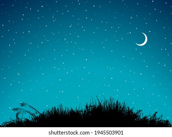 Abstract eco scenic hill view blue shiny starry crescent text design. Hand draw old dry spring season swamp marsh floral reed shrub stem. Flower grove grow border symbol shine scene art cartoon style