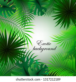 
Abstract ecological, green background of exotic palm leaves
