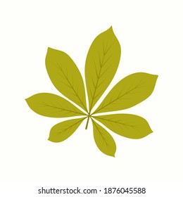 Abstract Ecology nature Leaf Logo design vector template. Creative Abstract Green Leave Logo Templates Boutique Stock. Agriculture Farming Logo Icon