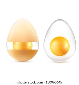 abstract egg illustration - vector