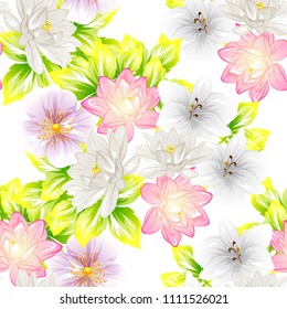 Abstract elegance seamless pattern with floral background
