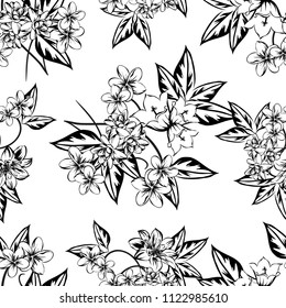 Abstract elegance seamless pattern with floral background