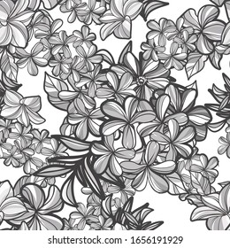 Abstract elegance seamless pattern with floral background