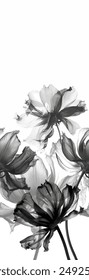 Abstract elegance seamless pattern with floral background pattern with floral background