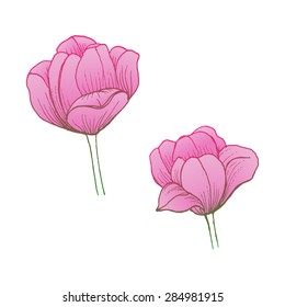 Abstract Elegance Seamless pattern with floral background