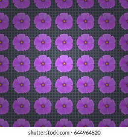 Abstract elegance vector seamless pattern with cosmos flowers on a gray background.