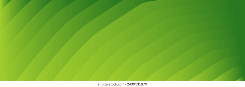 abstract elegant green background with lines