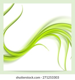 Abstract elegant green wavy pattern background. Vector design