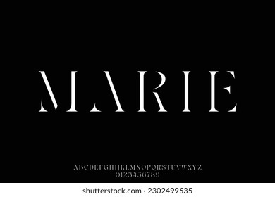 Abstract and elegant serif stencil type style font vector illustration