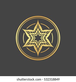 Abstract element for design, gold star, decoration.