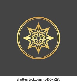 Abstract element for design, gold star, decoration.