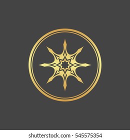 Abstract element for design, gold star, decoration.