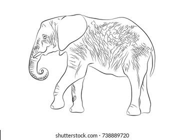 abstract elephant