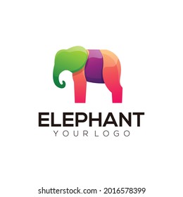 Abstract elephant colorful illustration logo