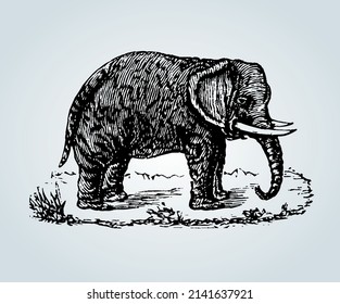 elefante abstracto con técnicas de sombreado para la ilustración