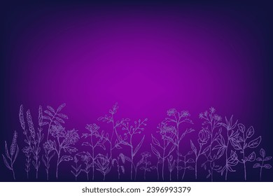 Abstract empty horizontal violet floral background. Magenta empty gradient scene for product. Wild Flowers Vector illustration.