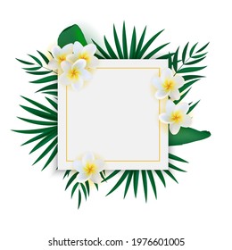 Abstract Empty Natural Exotic Tropical Background. Can be used as Poster, Sale ads, Card. Vector Illustration EPS10