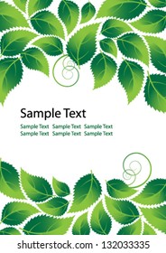 Abstract Environmental  background with green pointed leaves