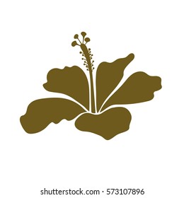 Abstract ethnic vector hibiscus icon. Tribal art boho print, isolated vintage brown on white flower. Icon for background texture, wallpaper, floral theme.