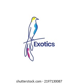 abstract exotic bird long tail logo design