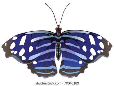 Abstract exotic butterfly, file EPS.8 illustration.