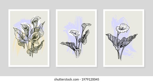 Abstract exotic flowers, nature tropical calla poster set. Modern illustration: tropical plants leaf, geo elements for minimalist print, poster, boho wall decor, flat design Vector minimal art.