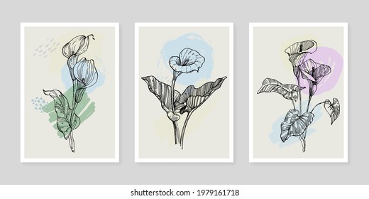 Abstract exotic flowers, nature tropical calla poster set. Modern illustration: tropical plants leaf, geo elements for minimalist print, poster, boho wall decor, flat design Vector minimal art.