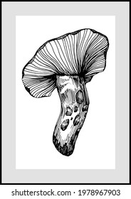 Abstract exotic mushrooms, natural mushroom poster set. Modern illustration: geo elements for minimalist print, poster, boho wall decor, flat design Vector minimal art