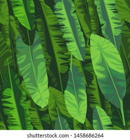 Abstract exotic plant seamless pattern. Banana leaf wallpaper.  Tropical pattern, palm leaves seamless vector floral background.