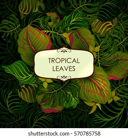 Abstract exotic tropical leaf background in vector for invitation greeting template
