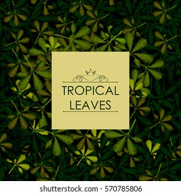 Abstract exotic tropical leaf background in vector for invitation greeting template