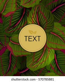 Abstract exotic tropical leaf background in vector for invitation greeting template