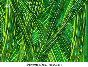 Abstract exotic tropical leaf background. Eps10 Vector illustration.