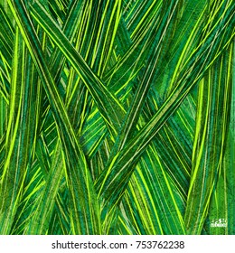 Abstract exotic tropical leaf background. Eps10 Vector illustration.