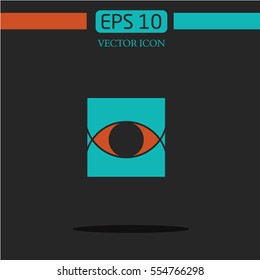 abstract eye  icon vector. logo