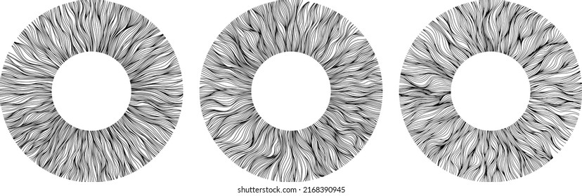 Abstract eye illustration. Iris decorative image. Circle vector line sketch.