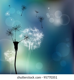 Abstract faded dandelions