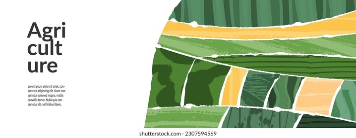 Abstract farm field collage background. Agro land backdrop, farmland landscape vector illustration with texture. Oriental decorative poster, eco design, green rural template, ecology art header
