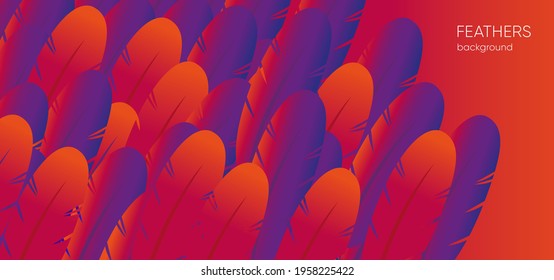 Abstract feather background. Neon color vector. Illustration for banner, social media post, web site and flyers
