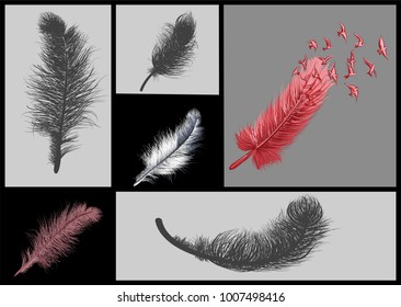 abstract feathers set and red abstract birds