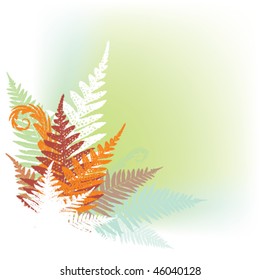 abstract fern composition with soft green background